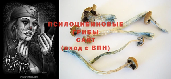 винт Горнозаводск