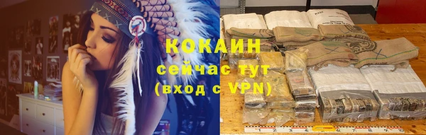 гидра Горно-Алтайск