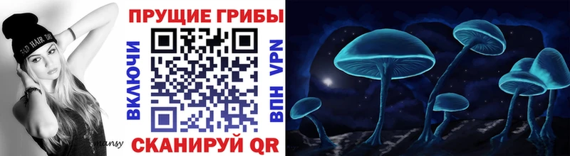 Псилоцибиновые грибы Cubensis Меленки
